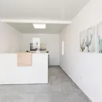 Aloe Apartment